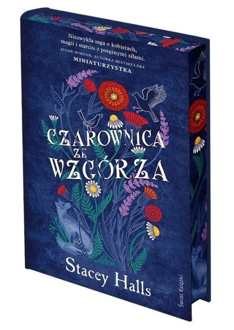 Czarownica ze wzgórza (ilustrowane brzegi)