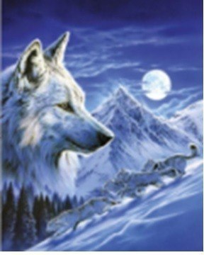 Diamentowa mozaika Wilk zimową nocą NO-1007000