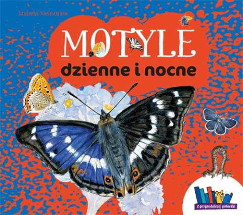 Motyle dzienne i nocne wyd. 2025