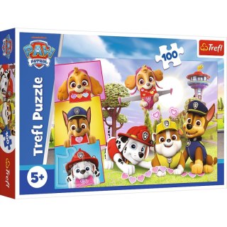 Puzzle 100 Nieustraszone dziewczyny Viacom Paw Patrol 16520