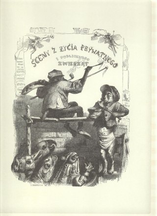 SCENY Z ŻYCIA PRYWATNEGO I PUBLICZNEGO ZWIERZĄT