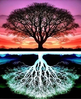 Diamentowa Mozaika Drzewo i odbicie NO-2001537