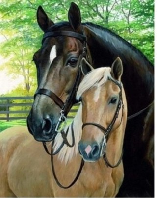 Diamentowa Mozaika Konie dwa zdjęcie NO-1006540