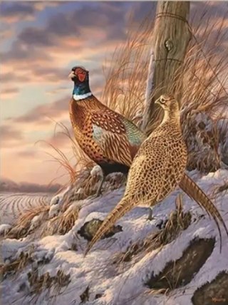 Diamentowa Mozaika Ptaki bażanty zimą NO-2001374