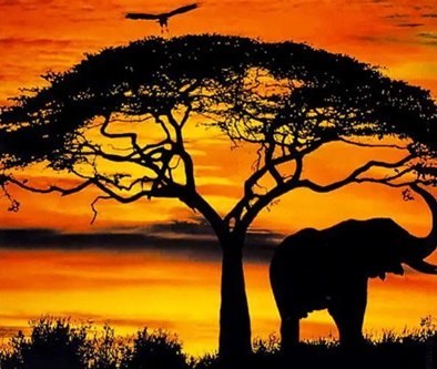 Diamentowa Mozaika Słoń zachód słońca NO-1004944