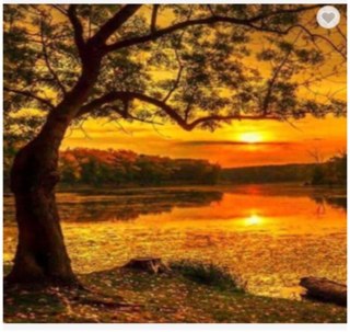 Diamentowa Mozaika Zachód słońca nad moczarami NO-1007414