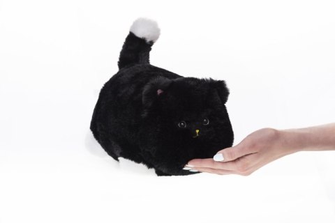 Interaktywny Kot Huggy Luv czarny DKO0222
