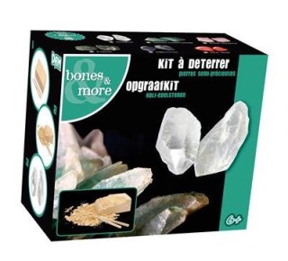 Kamień wykopaliska Bones&more