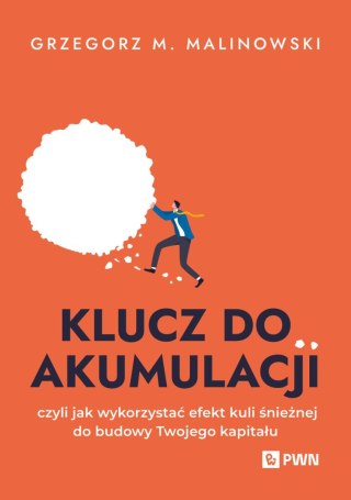 Klucz do akumulacji. czyli jak wykorzystać efekt kuli śnieżnej do budowy Twojego kapitału