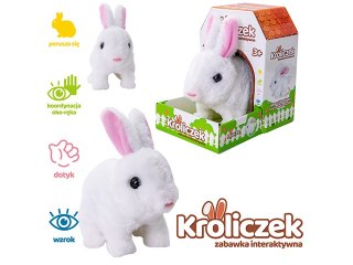 Króliczek na baterie biały