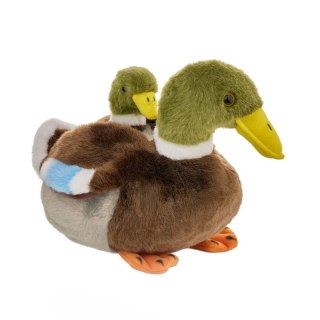 Maskotka ZOO Kaczka krzyżówka z dzieckiem 20cm