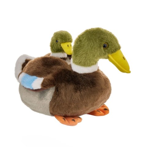 Maskotka ZOO Kaczka krzyżówka z dzieckiem 20cm