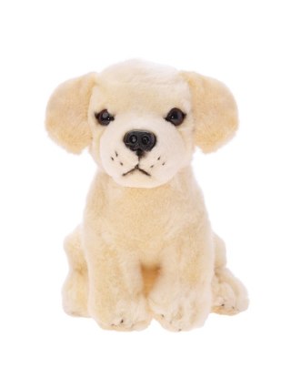 Maskotka ZOO Pies lablador siedzący 20cm