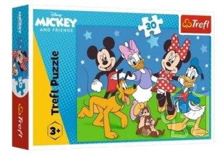 Puzzle 30 Mysie sprawy Disney Standard Characters 18309