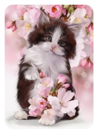 Diamentowa Mozaika Kotek w kwiatach NO-1008279