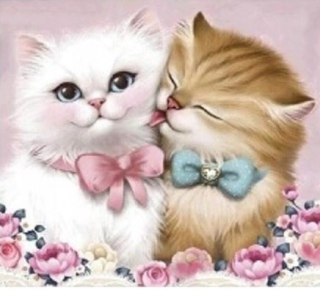 Diamentowa Mozaika Kotki dwa milusińscy NO-1004874