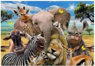 Diamentowa Mozaika Zwierzęta safari uśmiechnięte NO-1007771