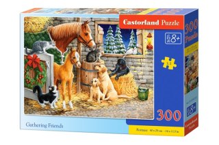 Puzzle 300 Gathering Friends BN B-030255