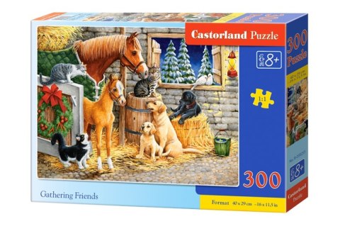 Puzzle 300 Gathering Friends BN B-030255