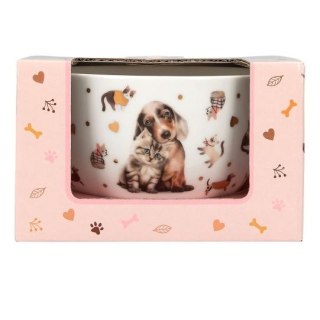 Miseczka w ozdobnym pudełku Top Model Fur Ever Friends 13867A