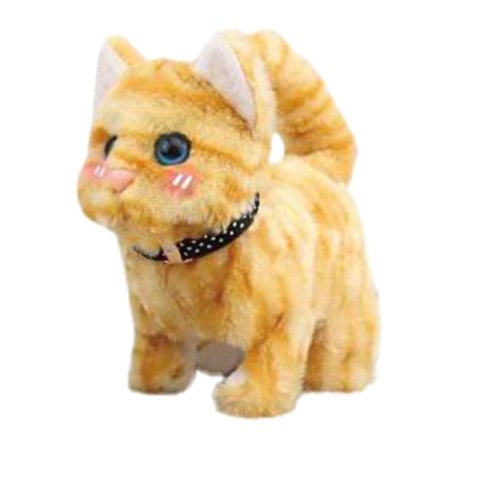 Twój pupilek Kotek brązowy